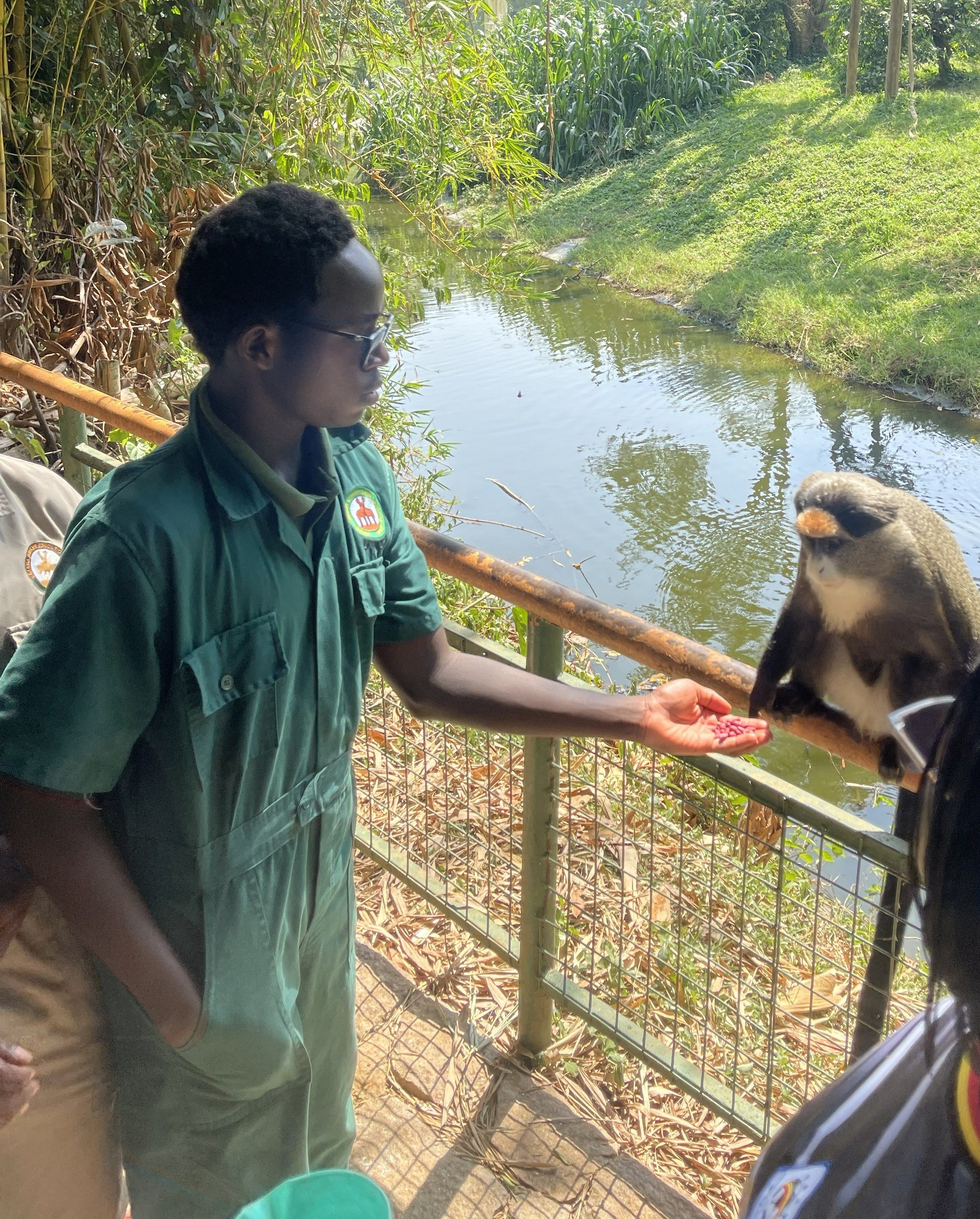 Learning About Wildlife Up Close — Avron Education Services gallery