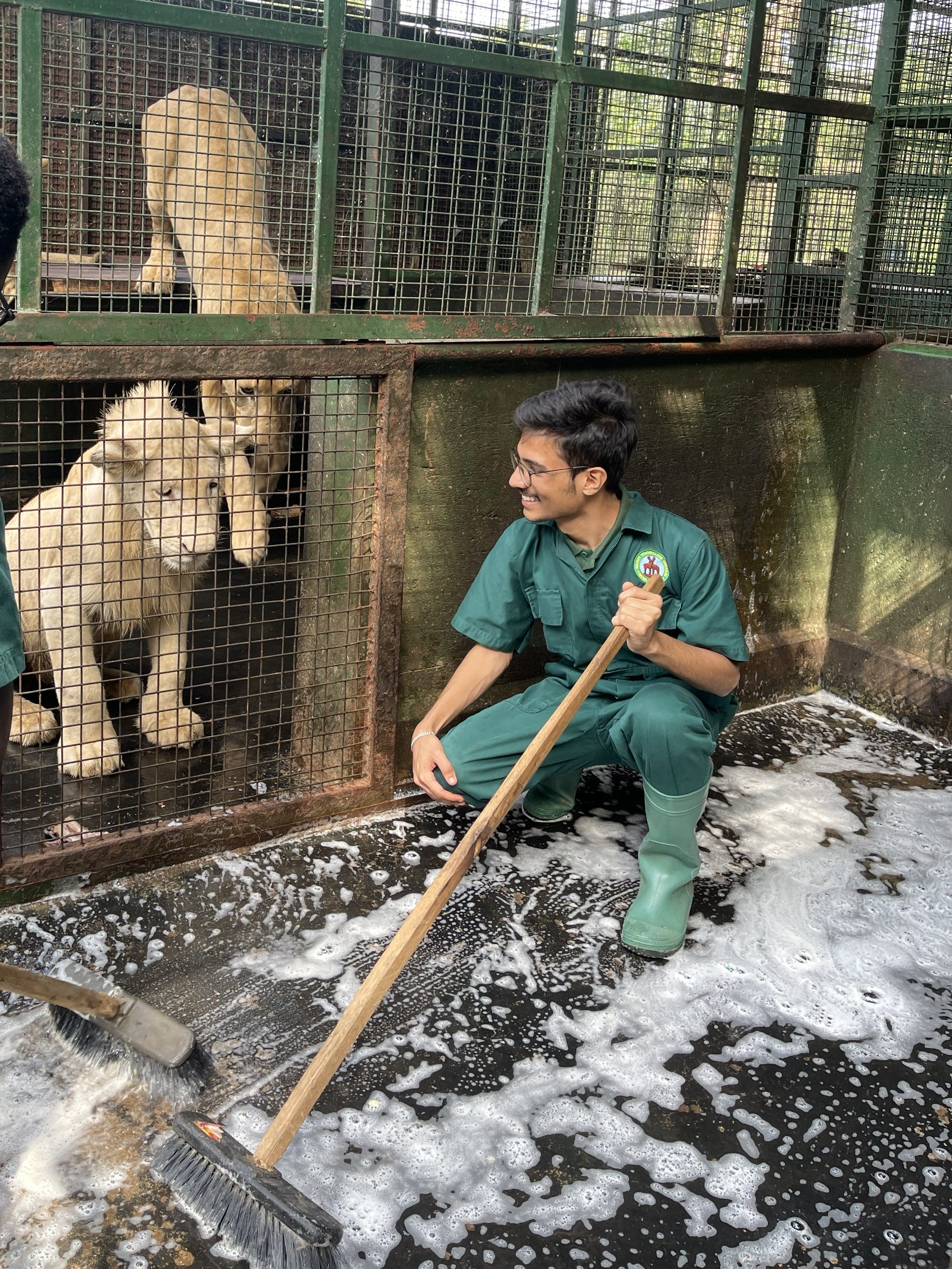 Responsibility Through Wildlife Care — Avron Education Services gallery